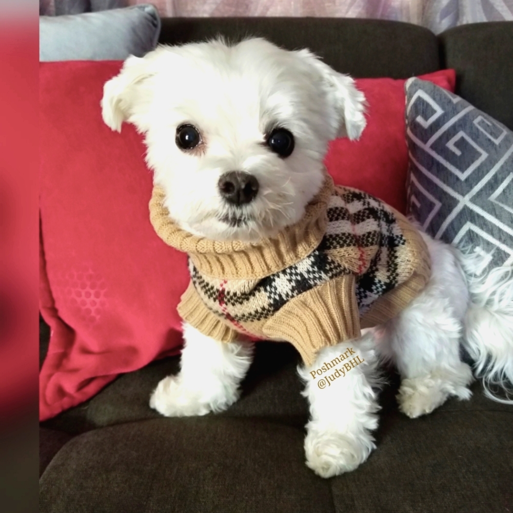 Burberry Pet Sweater XXS
